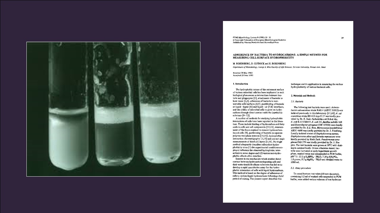 World of Science, World of Fantasy by Mel Rosenberg - מל רוזנברג - Ourboox.com