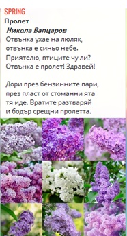 SPRING by Elena Gyovcheva - Ourboox.com