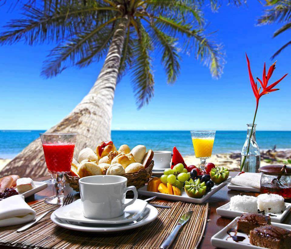 למרבה המזל החלב by אופיר גזית - Ourboox.com