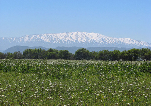 עבודת חקר צפון הארץ-רמת הגולן by guy - Ourboox.com