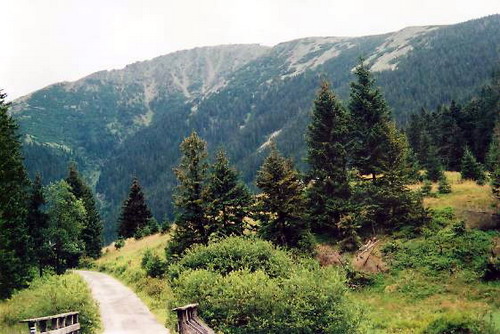 הכרמל והגלבוע by ella ner - Ourboox.com