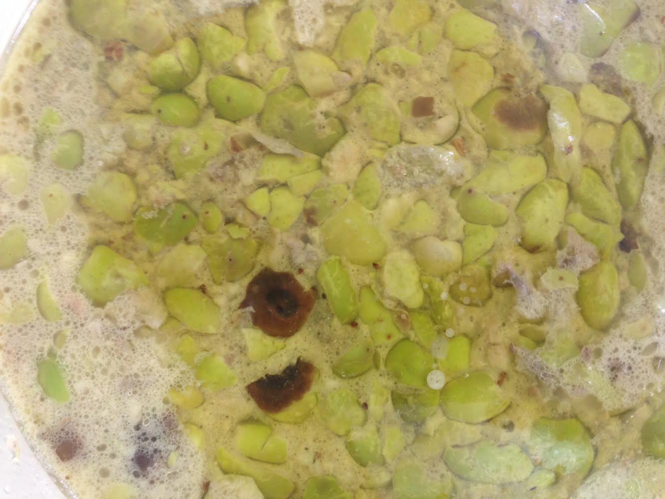 جدي ابو سمير والجزره by adeela younis - Ourboox.com