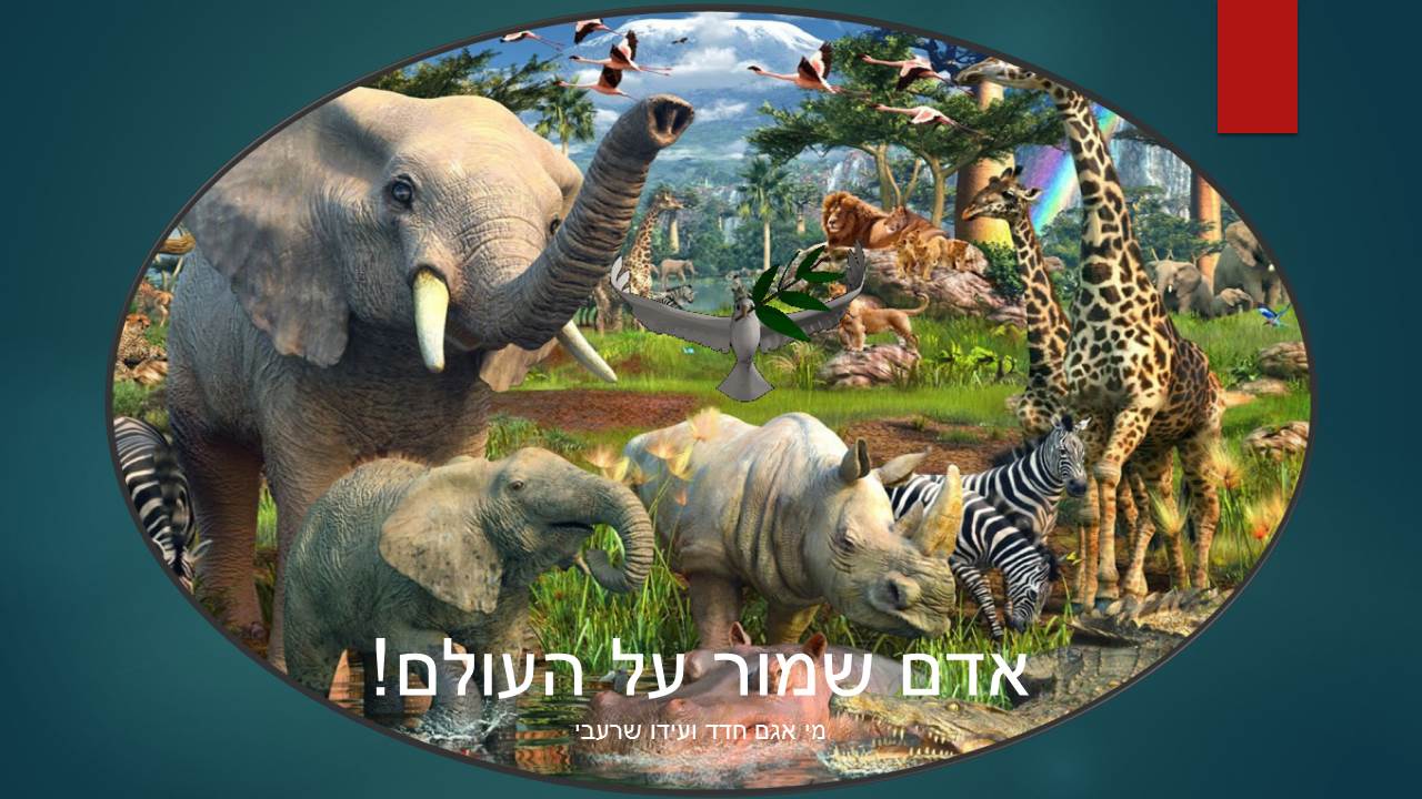 ב”שיזף” אור יהודה משדרים ערכים by אילן  - Illustrated by עיצבו תלמידי בית ספר שיזף אור יהודה בהנחיית המורות לאומנות שולמית ודנית  - Ourboox.com