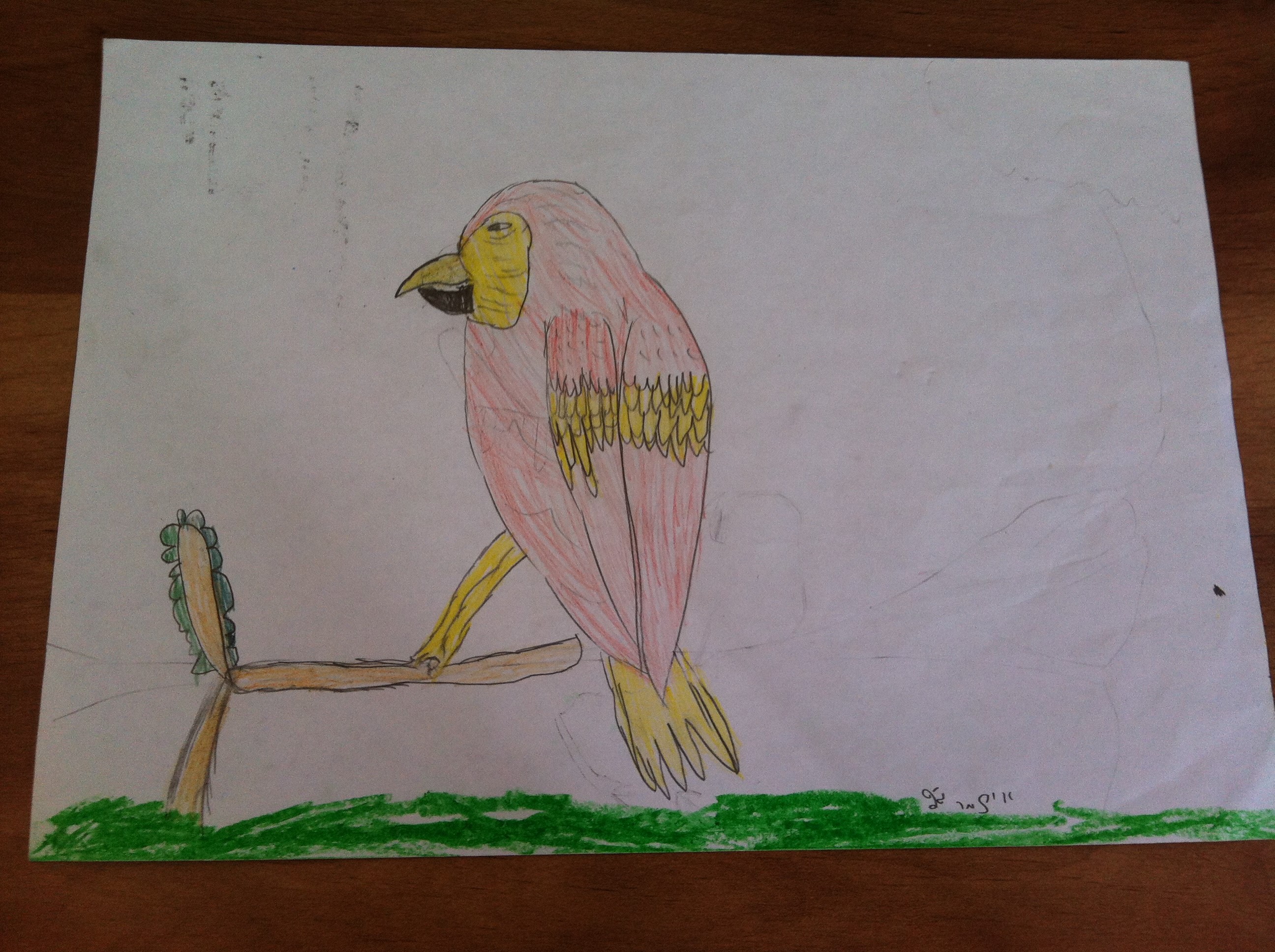 ספר מדוע ולמה של כיתה ג’2 by hagar - Illustrated by תלמידי כיתה ג