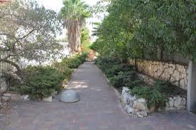 היישוב שלי by sarit snapir - Illustrated by ד