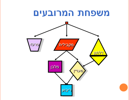 the squares kingdom by noy aizner shachar baruch hodaya buzaglo - Ourboox.com