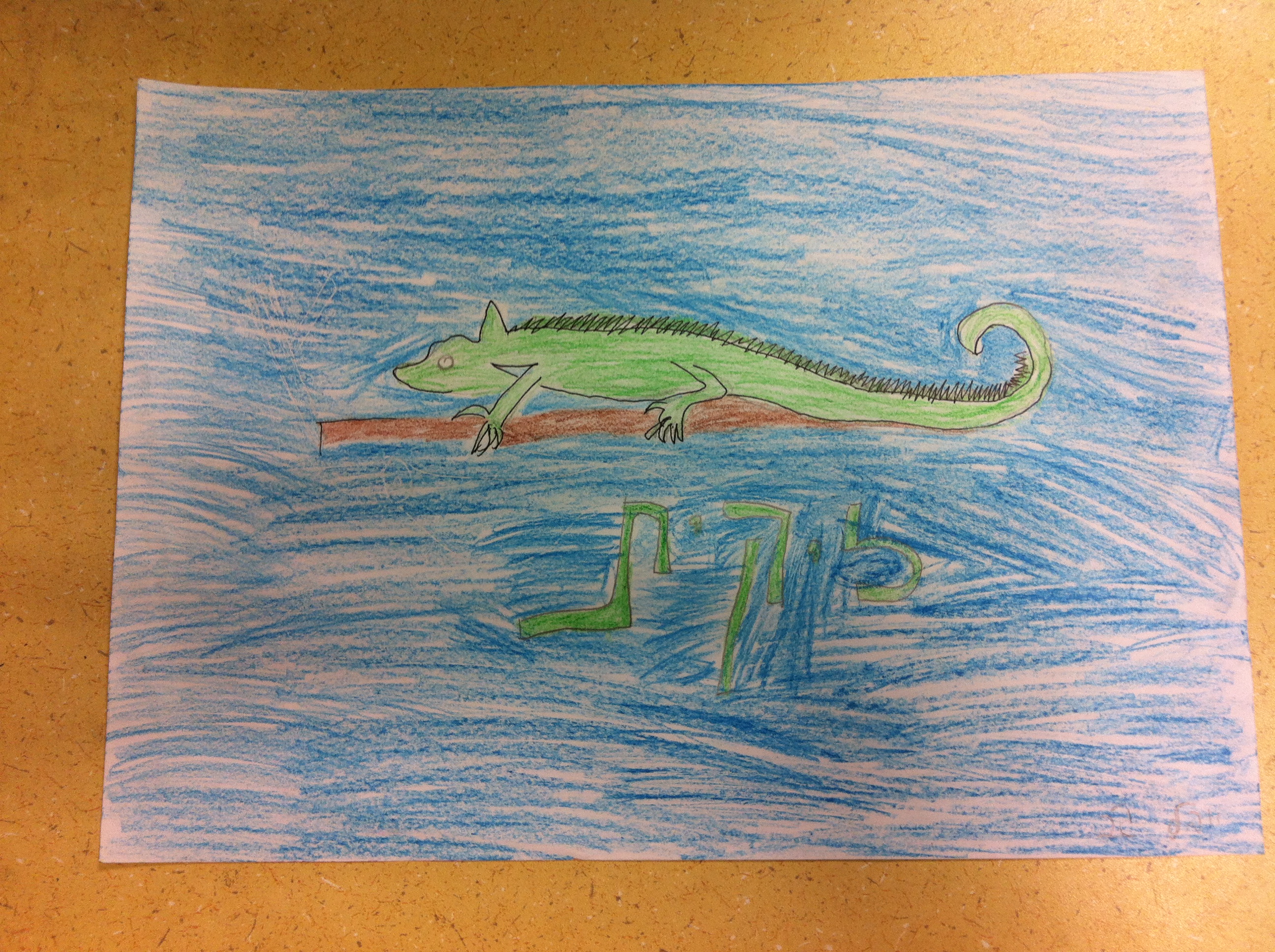 ספר מדוע ולמה של כיתה ג’2 by hagar - Illustrated by תלמידי כיתה ג