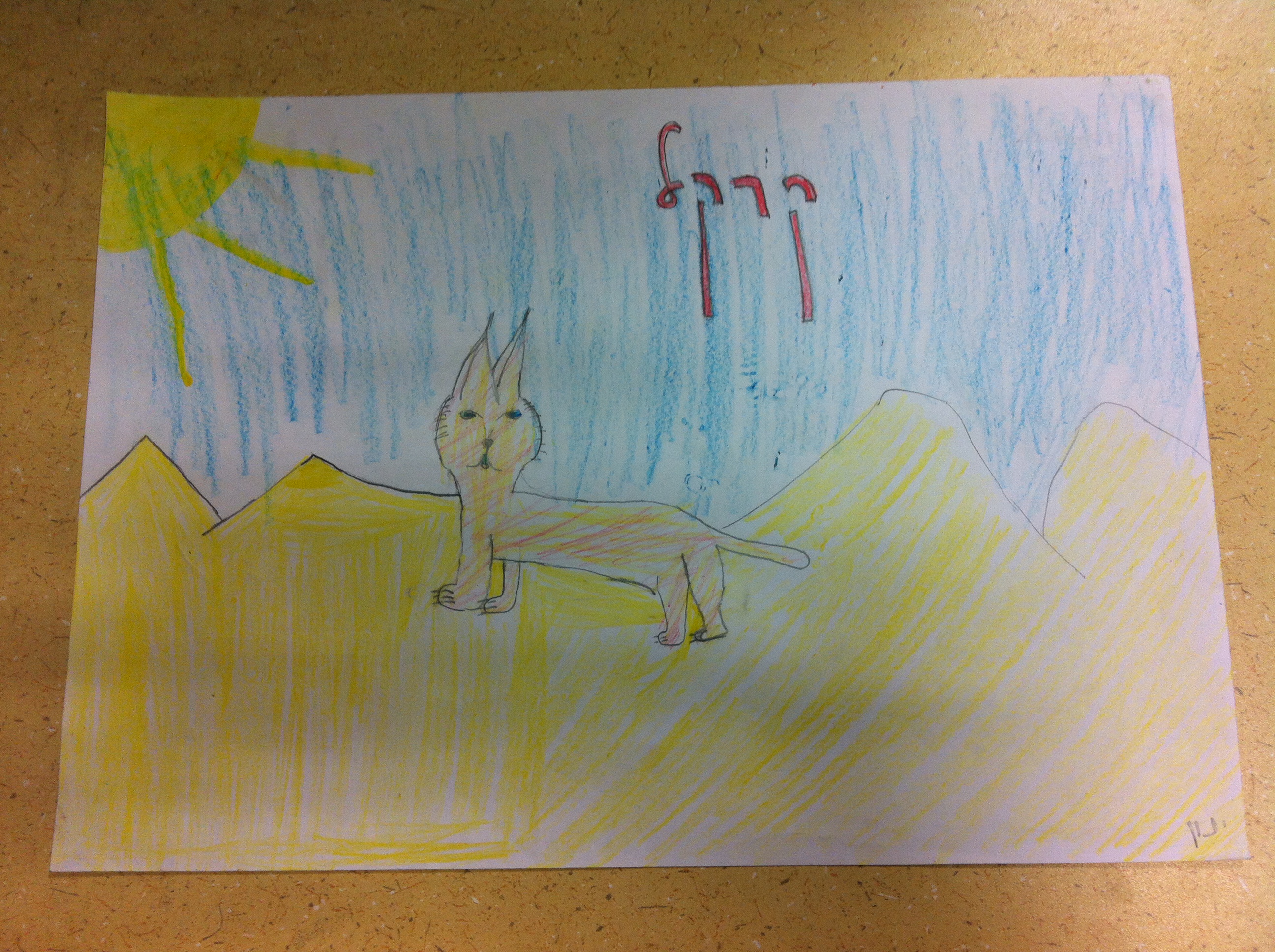 ספר מדוע ולמה של כיתה ג’2 by hagar - Illustrated by תלמידי כיתה ג