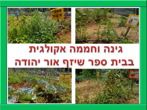 גינה וחממה אקולגית בבית ספר שיזף אור יהודה by אילן  - Ourboox.com