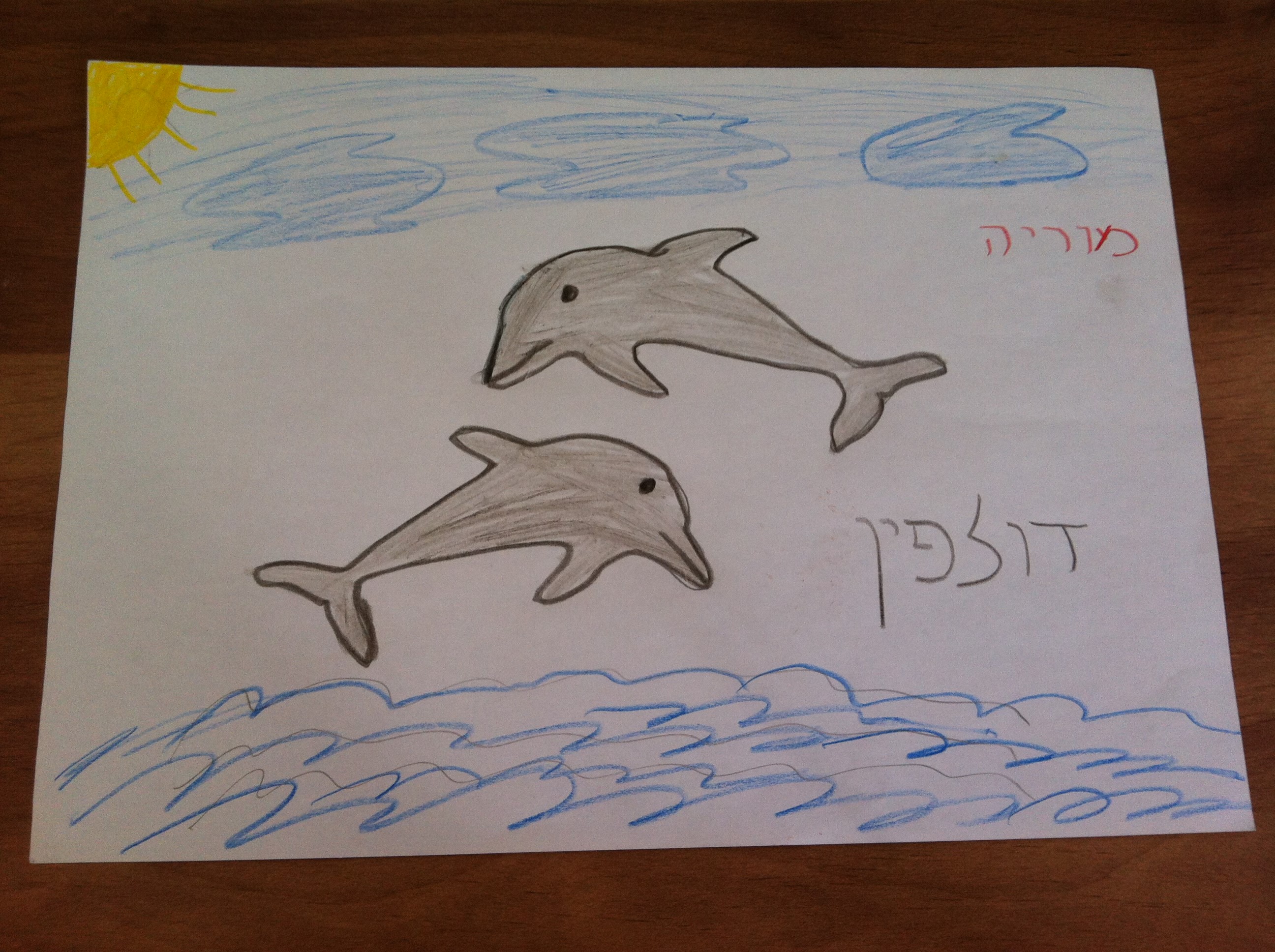 ספר מדוע ולמה של כיתה ג’2 by hagar - Illustrated by תלמידי כיתה ג