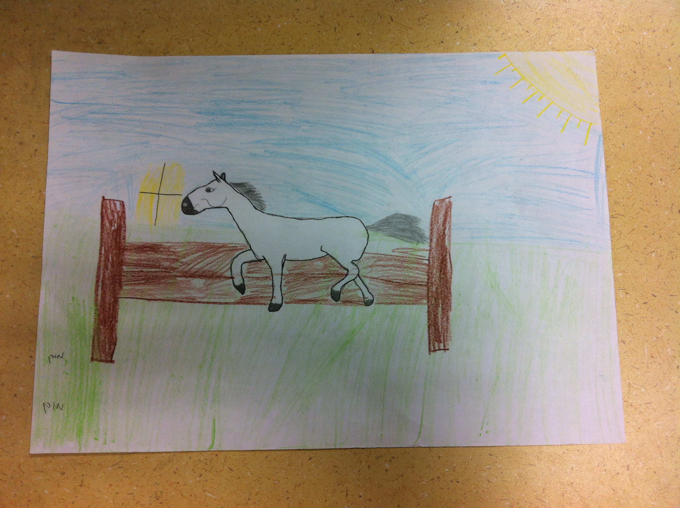 ספר מדוע ולמה של כיתה ג’2 by hagar - Illustrated by תלמידי כיתה ג