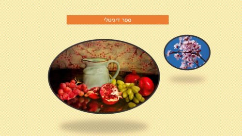 סיכום שנה by galit - Ourboox.com