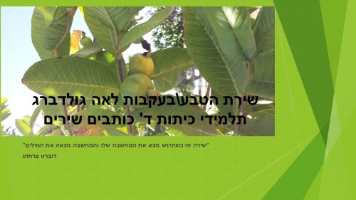 שירת הטבע by ARIELA A. - Illustrated by תלמידי כיתות ד' תשע