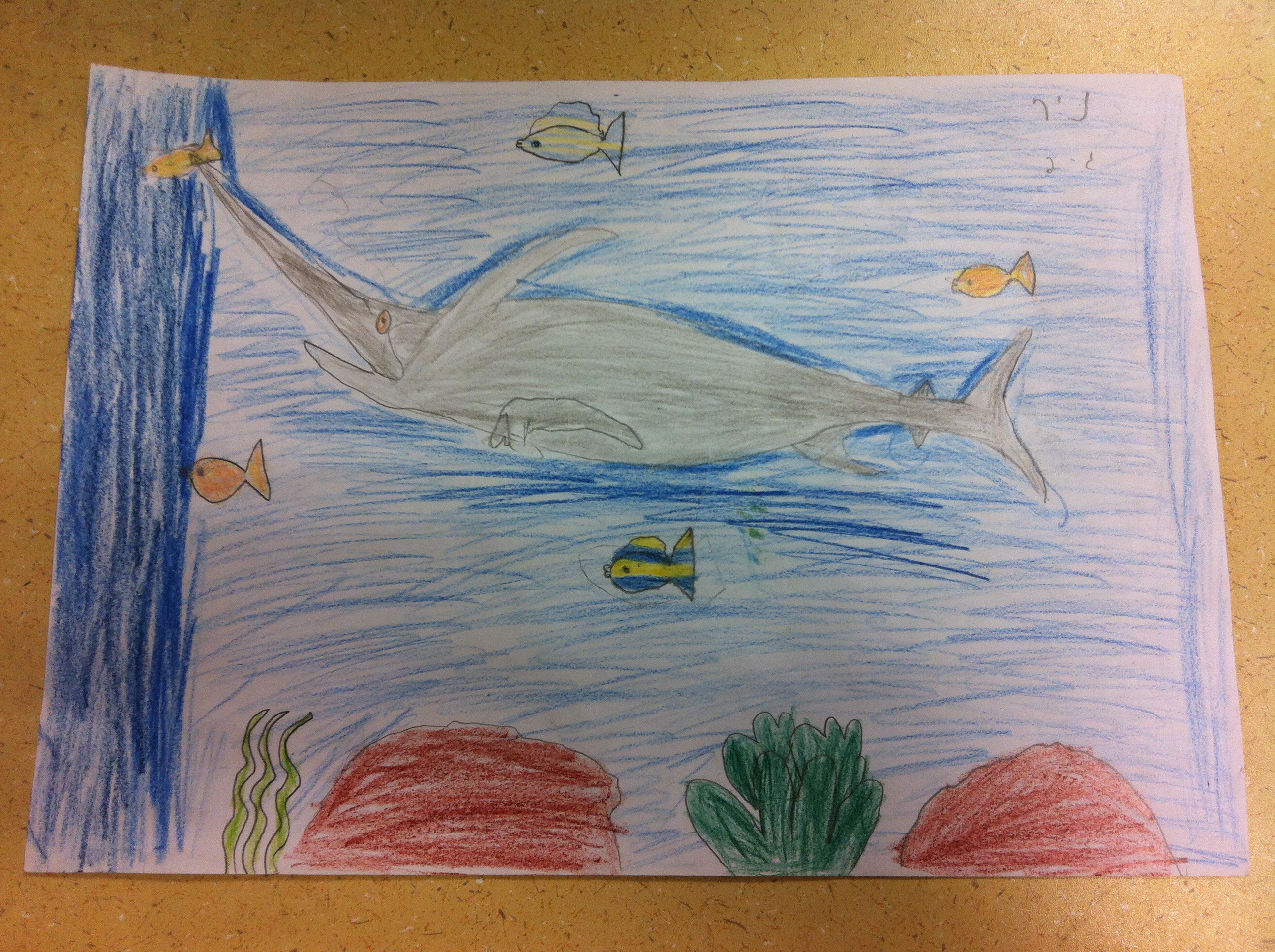 ספר מדוע ולמה של כיתה ג’2 by hagar - Illustrated by תלמידי כיתה ג