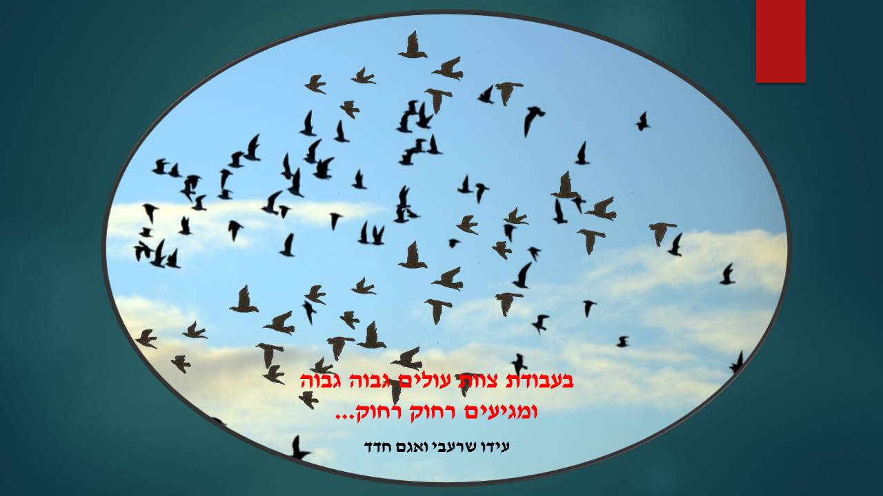 ב”שיזף” אור יהודה משדרים ערכים by אילן  - Illustrated by עיצבו תלמידי בית ספר שיזף אור יהודה בהנחיית המורות לאומנות שולמית ודנית  - Ourboox.com