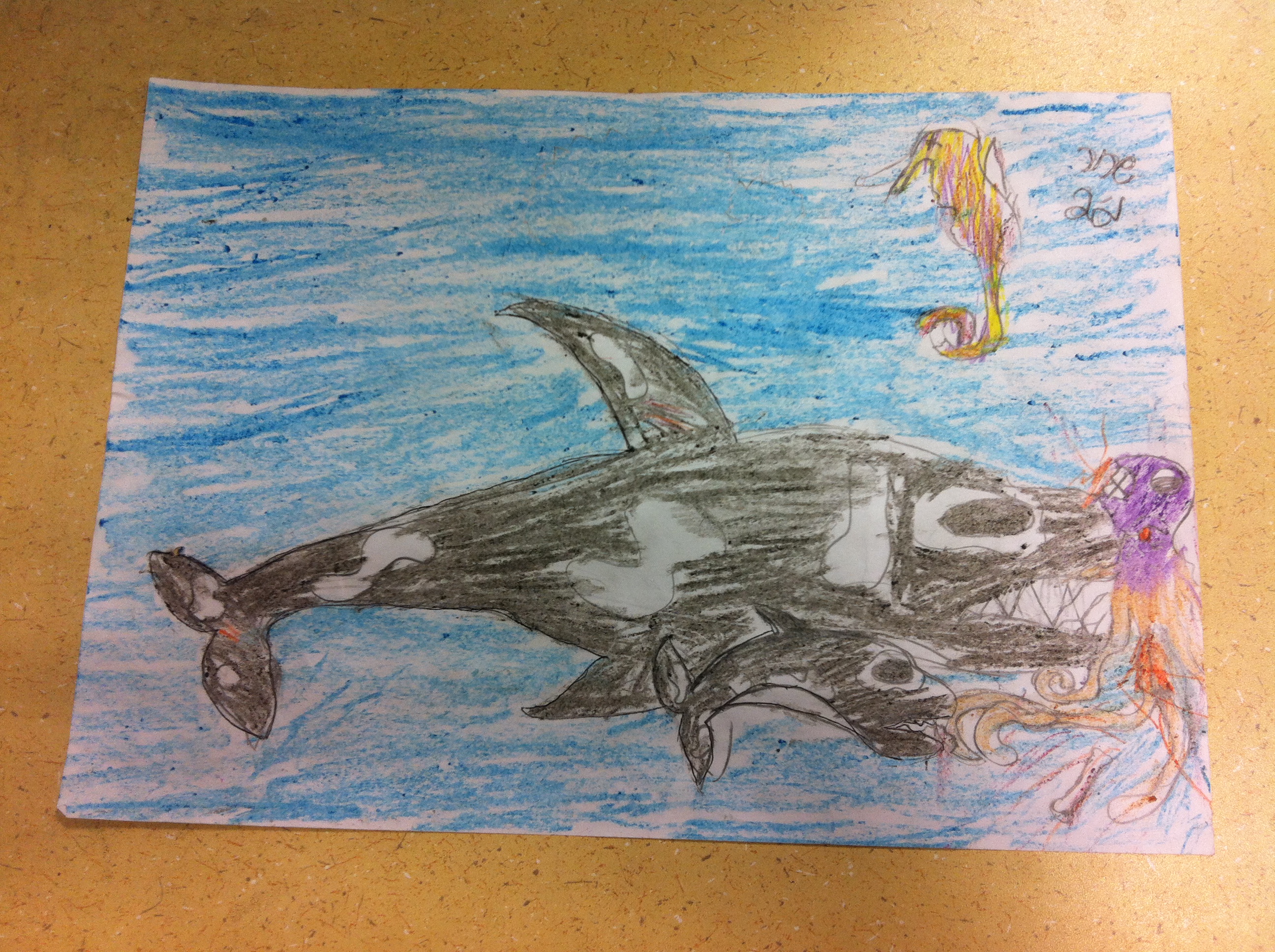 ספר מדוע ולמה של כיתה ג’2 by hagar - Illustrated by תלמידי כיתה ג