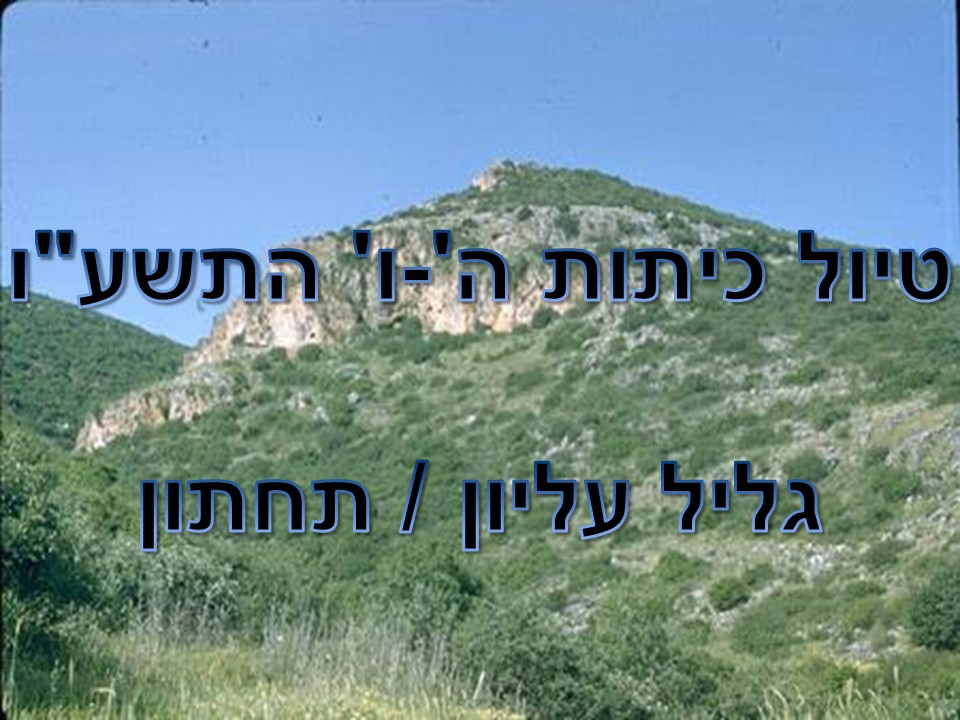 ‘טיול שנתי כיתות ה’-ו by ohad - Ourboox.com