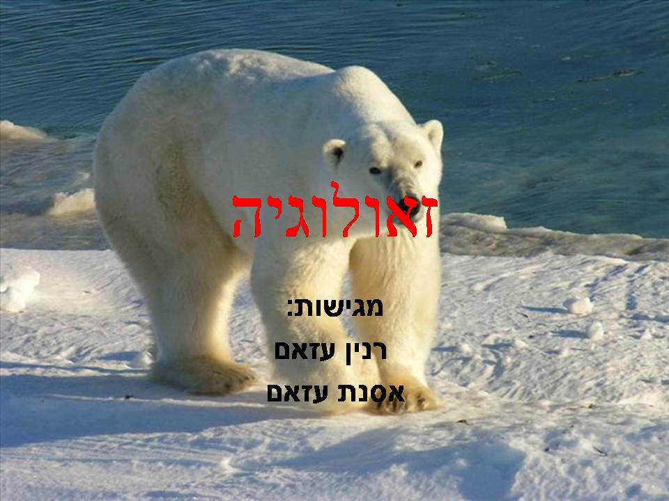 תופעות בזאולוגיה by batel and zimrat - Illustrated by התאמה ותפקוד - Ourboox.com
