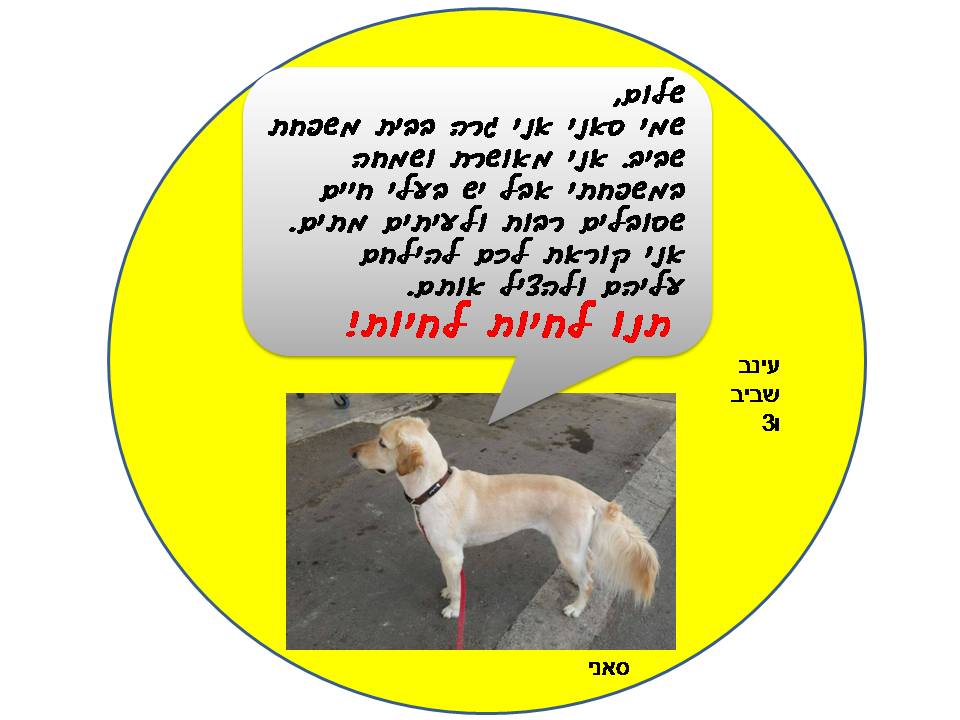 ב”שיזף” אור יהודה משדרים ערכים by אילן  - Illustrated by עיצבו תלמידי בית ספר שיזף אור יהודה בהנחיית המורות לאומנות שולמית ודנית  - Ourboox.com