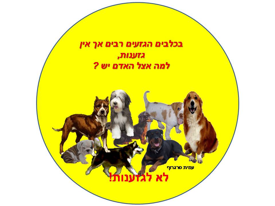 ב”שיזף” אור יהודה משדרים ערכים by אילן  - Illustrated by עיצבו תלמידי בית ספר שיזף אור יהודה בהנחיית המורות לאומנות שולמית ודנית  - Ourboox.com