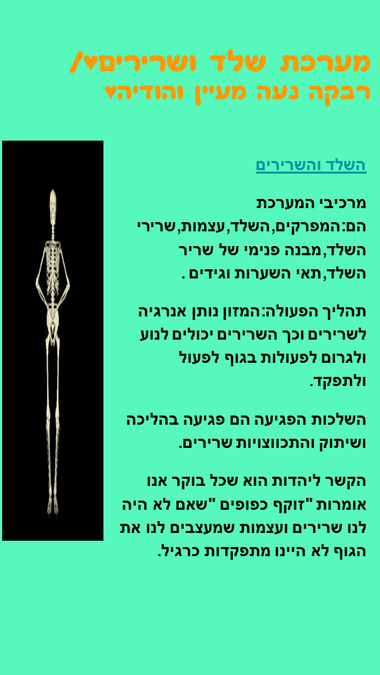 חקר מערכות והזיקה ליהדות מאת מדעים ואור חיה by hani gabay - Illustrated by מדעים & אור חיה - Ourboox.com