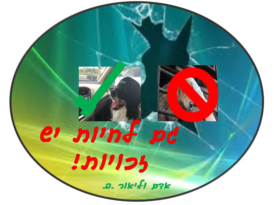 ב”שיזף” אור יהודה משדרים ערכים by אילן  - Illustrated by עיצבו תלמידי בית ספר שיזף אור יהודה בהנחיית המורות לאומנות שולמית ודנית  - Ourboox.com