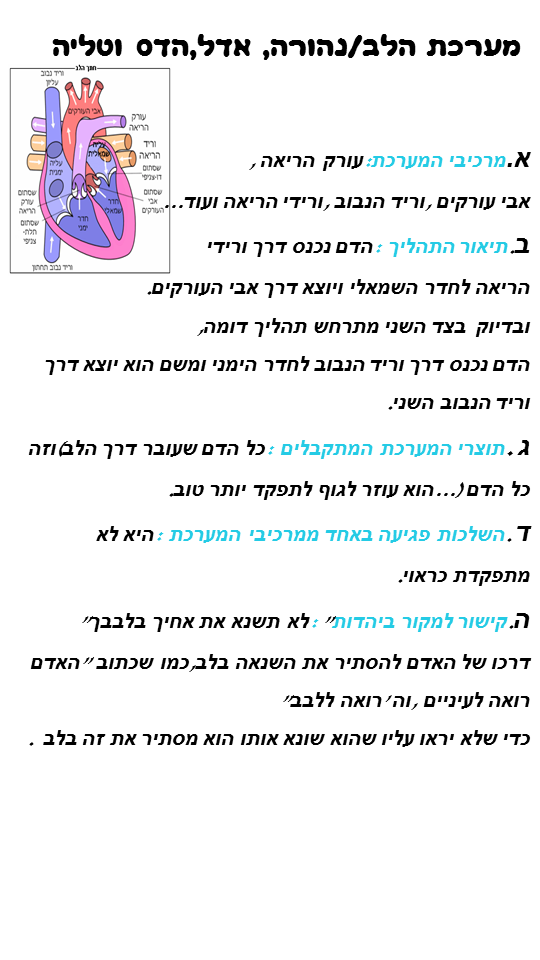 חקר מערכות והזיקה ליהדות מאת מדעים ואור חיה by hani gabay - Illustrated by מדעים & אור חיה - Ourboox.com