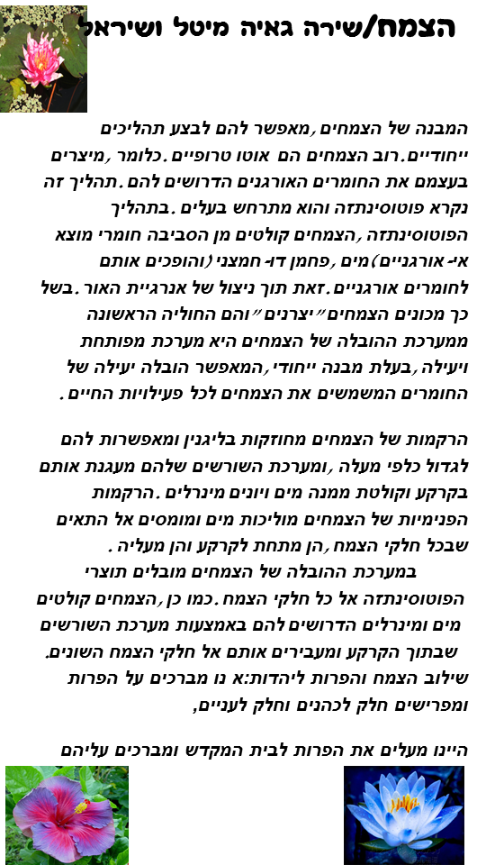 חקר מערכות והזיקה ליהדות מאת מדעים ואור חיה by hani gabay - Illustrated by מדעים & אור חיה - Ourboox.com