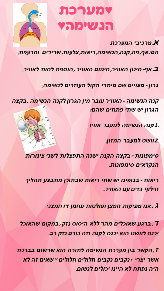 חקר מערכות והזיקה ליהדות מאת מדעים ואור חיה by hani gabay - Illustrated by מדעים & אור חיה - Ourboox.com