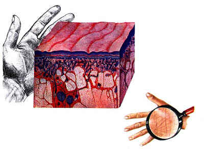 الحواس الخمسة by haneen - Ourboox.com