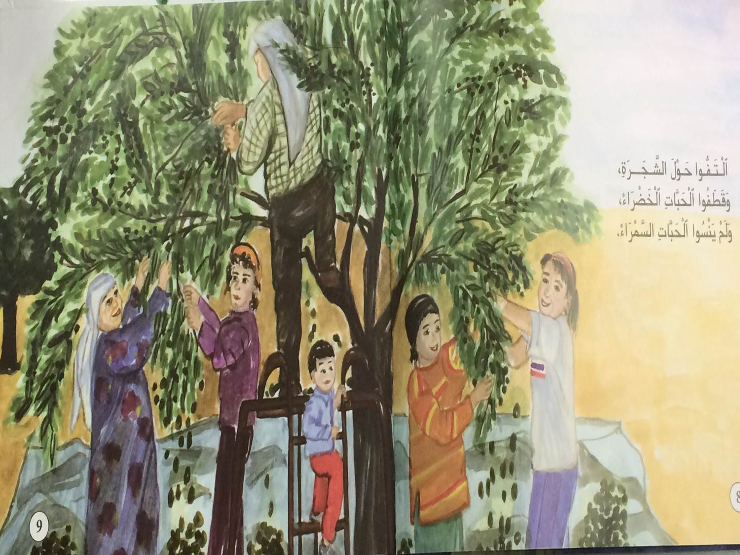 olive by bishara hiba - Ourboox.com