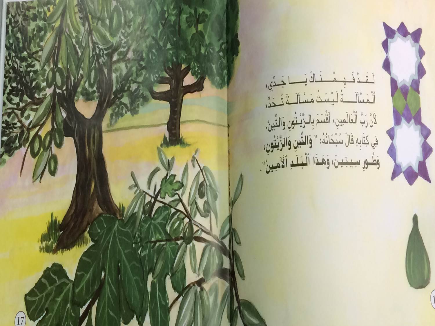 olive by bishara hiba - Ourboox.com