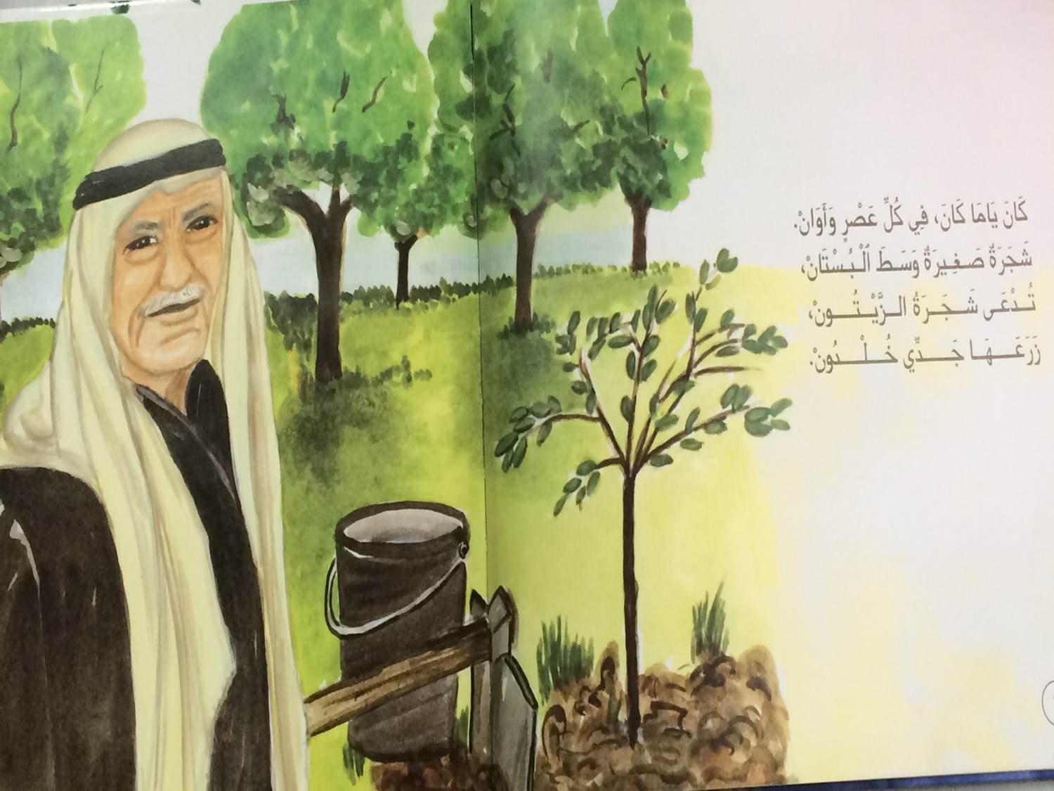 olive by bishara hiba - Ourboox.com