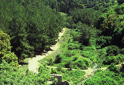 עבודת חקר צפון הארץ- הכרמל by shira mizrchi - Ourboox.com