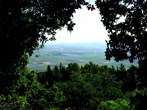 עבודת חקר צפון הארץ- הכרמל by shira mizrchi - Ourboox.com