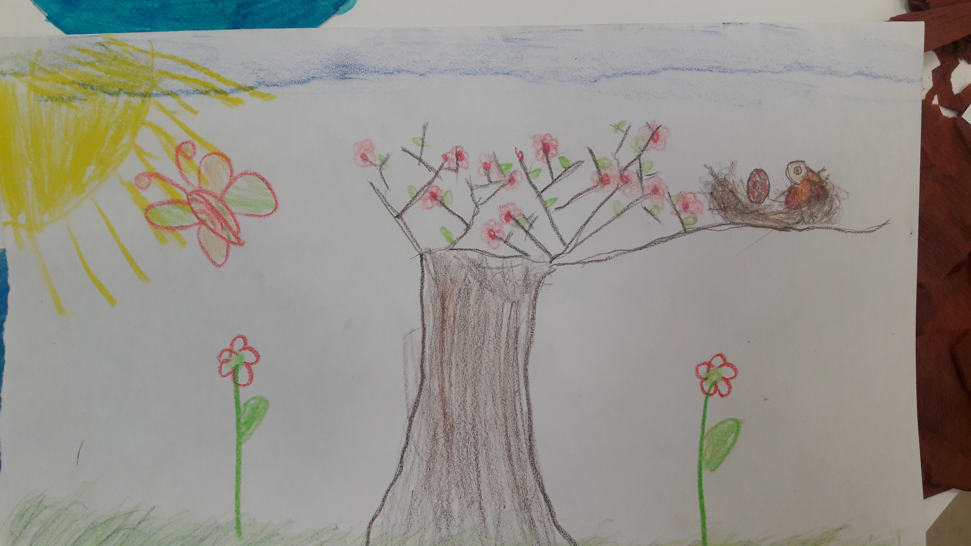 שירת הטבע by ARIELA A. - Illustrated by תלמידי כיתות ד