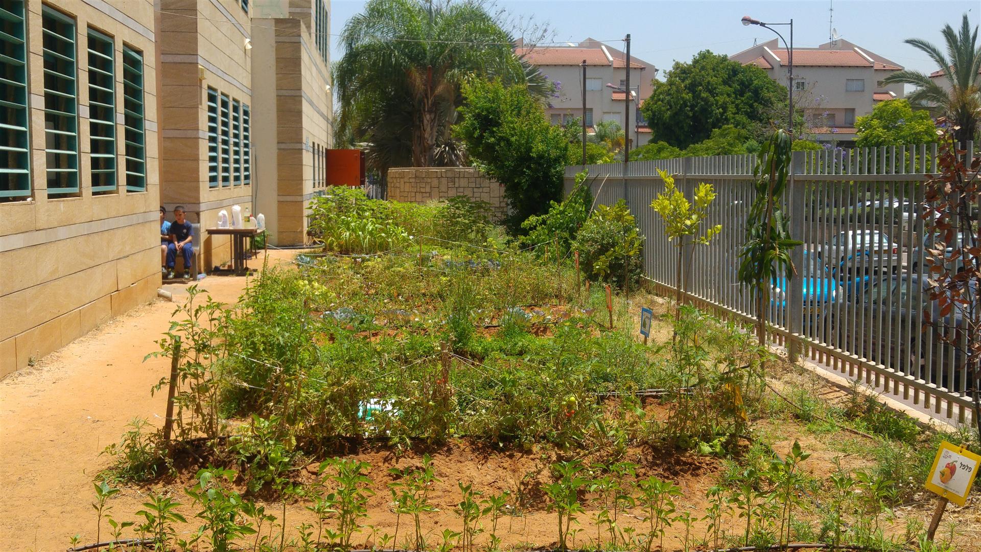גינה וחממה אקולגית בבית ספר שיזף אור יהודה by אילן  - Ourboox.com