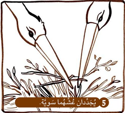 اللقلق يعود الى العش by islamkittany - Ourboox.com