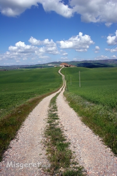 בון-המסע בעקבות המפלצת by noa even - Illustrated by נועה אבן וירין שבת - Ourboox.com