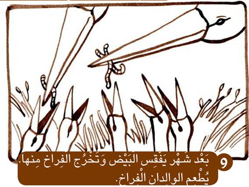 اللقلق يعود الى العش by islamkittany - Ourboox.com