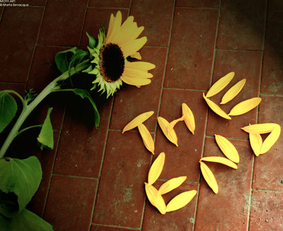 משפחת המרובעים שלי by ariel aharonov - Illustrated by אריאל אהרונוב  - Ourboox.com