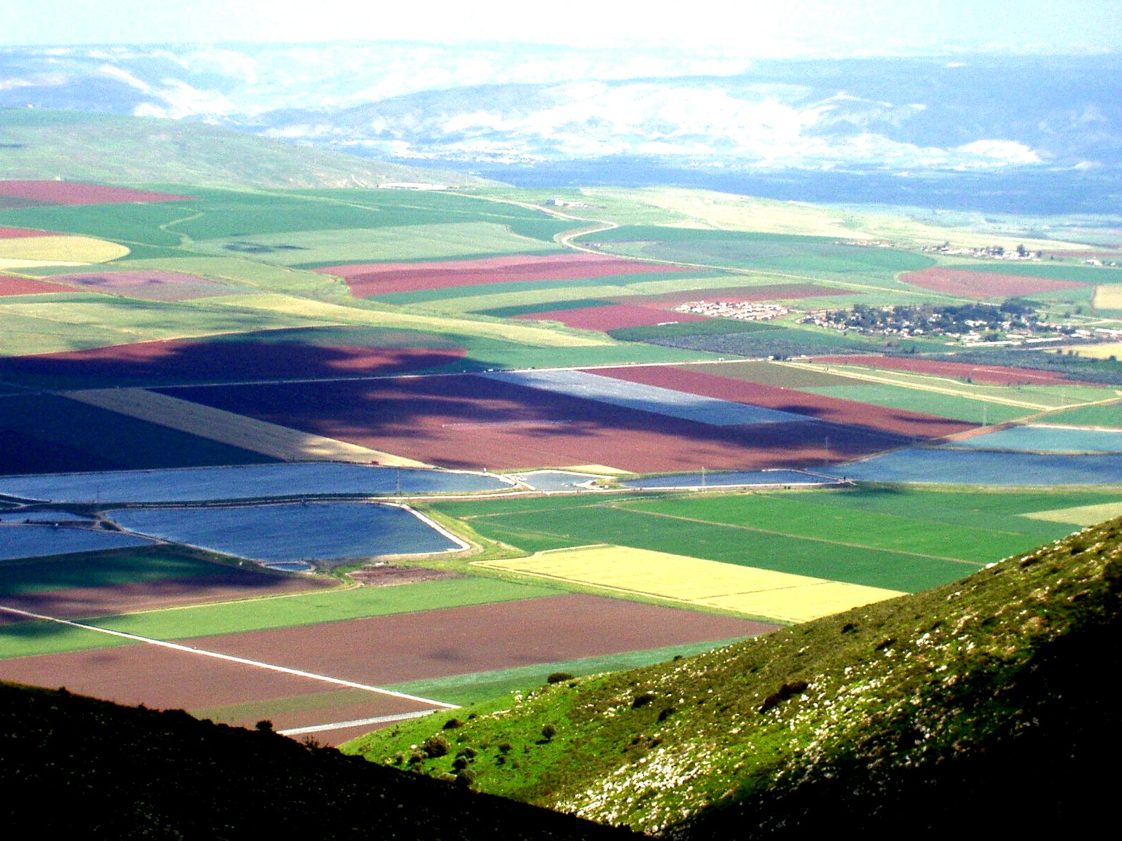 ההתיישבות בעמק – חרוד by שרון שוחט - Ourboox.com