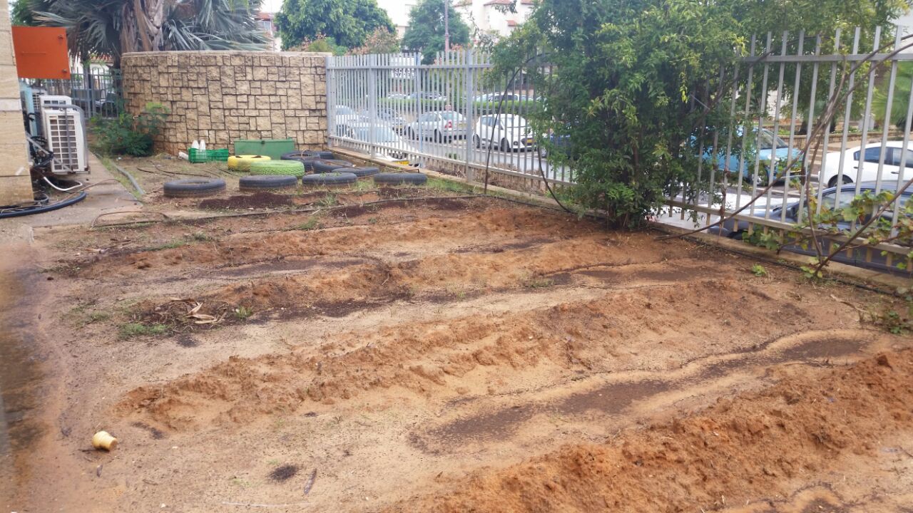 גינה וחממה אקולגית בבית ספר שיזף אור יהודה by אילן  - Ourboox.com