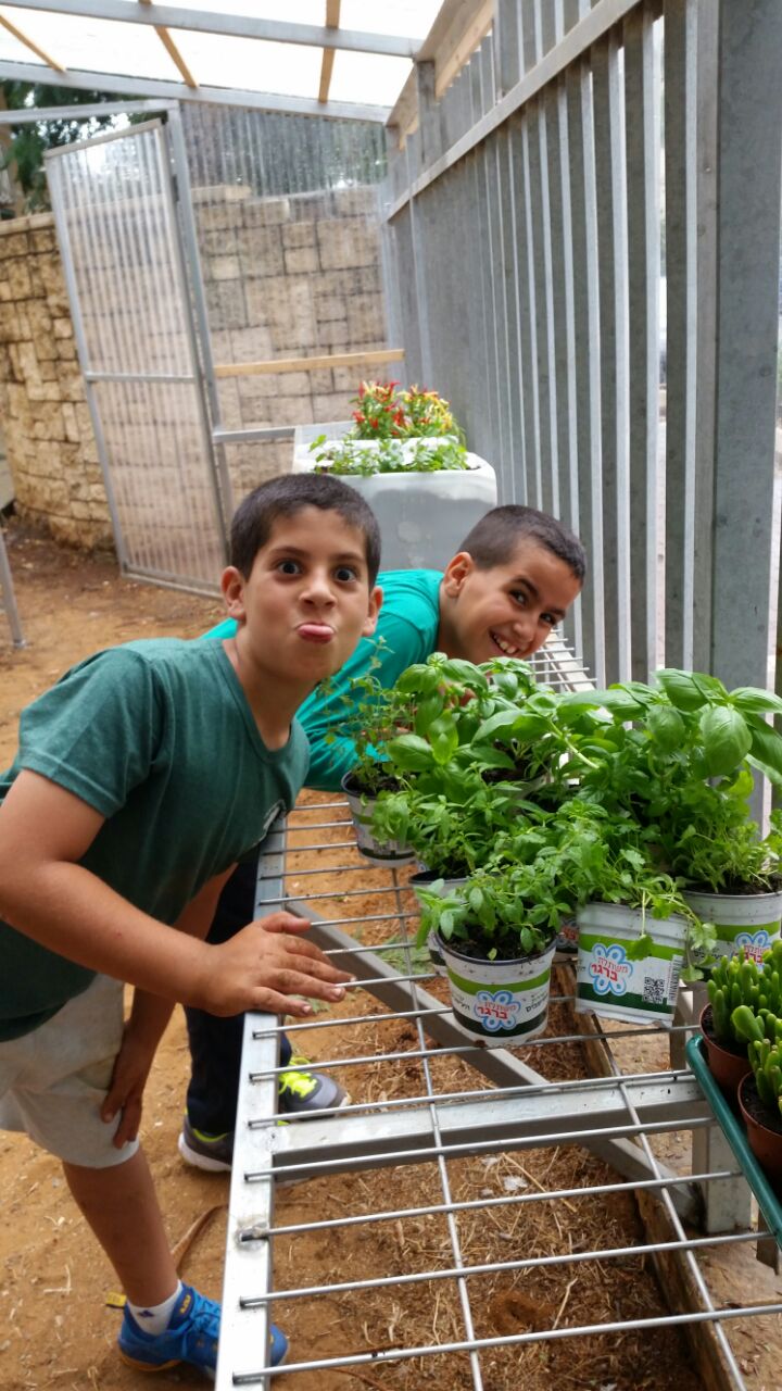 גינה וחממה אקולגית בבית ספר שיזף אור יהודה by אילן  - Ourboox.com