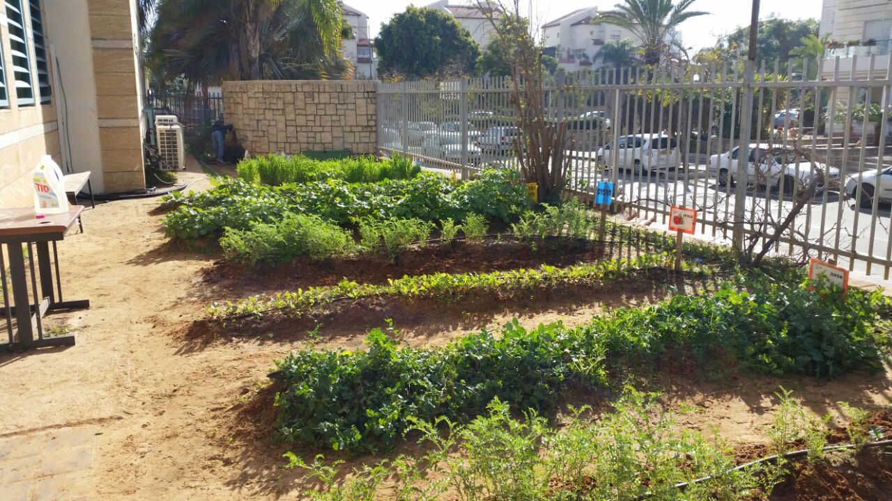 גינה וחממה אקולגית בבית ספר שיזף אור יהודה by אילן  - Ourboox.com