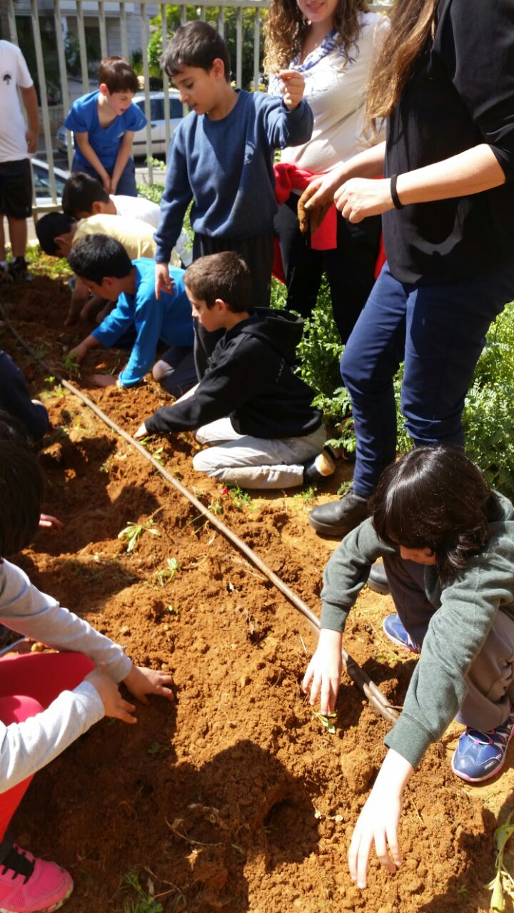 גינה וחממה אקולגית בבית ספר שיזף אור יהודה by אילן  - Ourboox.com