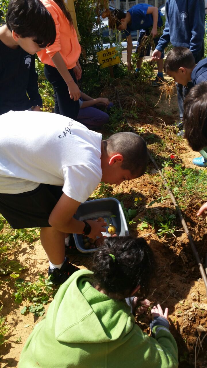 גינה וחממה אקולגית בבית ספר שיזף אור יהודה by אילן  - Ourboox.com