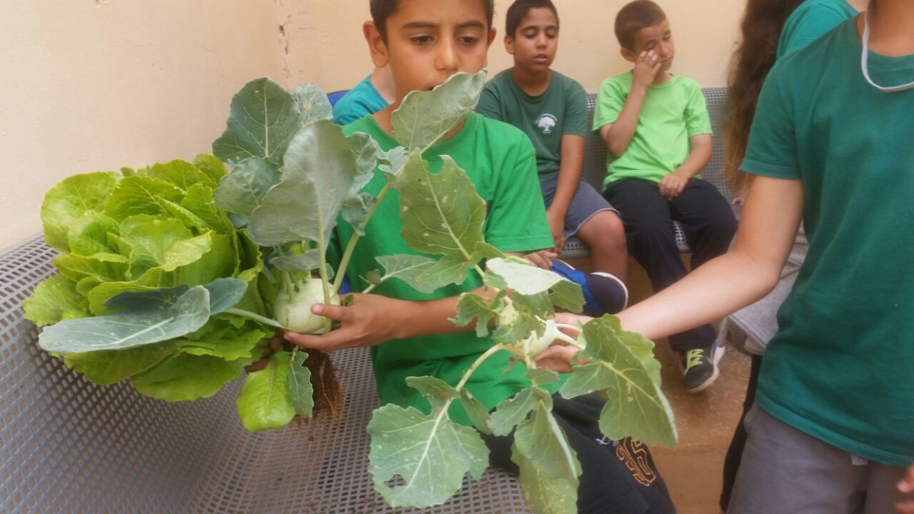 גינה וחממה אקולגית בבית ספר שיזף אור יהודה by אילן  - Ourboox.com