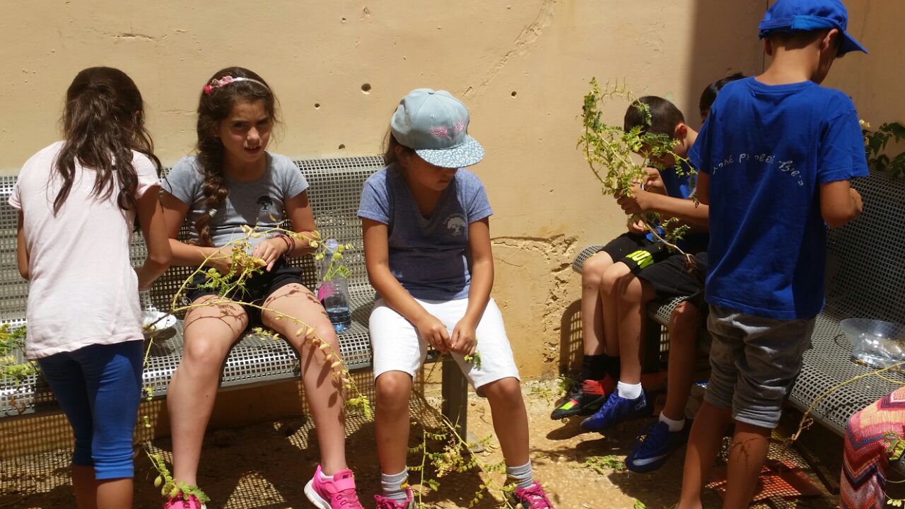 גינה וחממה אקולגית בבית ספר שיזף אור יהודה by אילן  - Ourboox.com