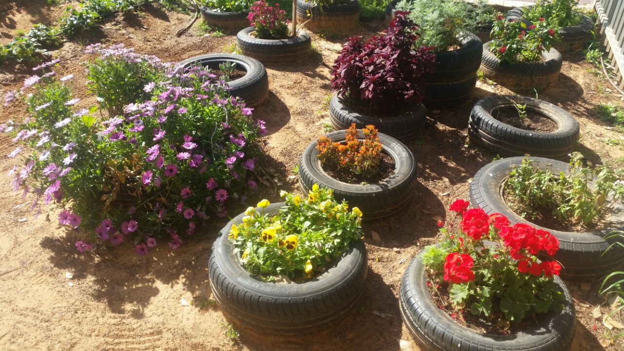 גינה וחממה אקולגית בבית ספר שיזף אור יהודה by אילן  - Ourboox.com